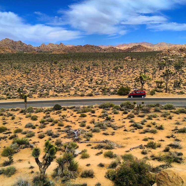 joshuatreenationalparkphotobylindsay