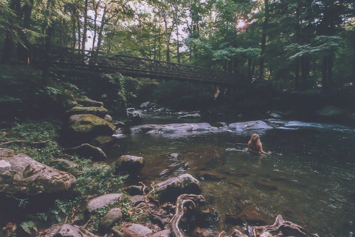 In the Smokies by Kyle Bradford