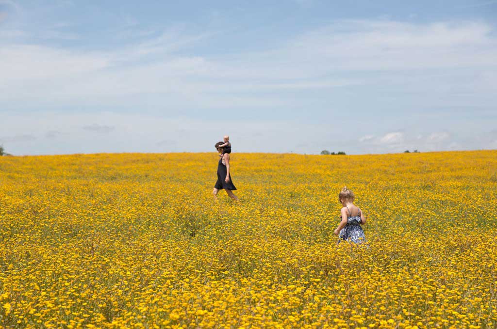Emily, Colette, and Sierra (C) 2015 Our Open Road