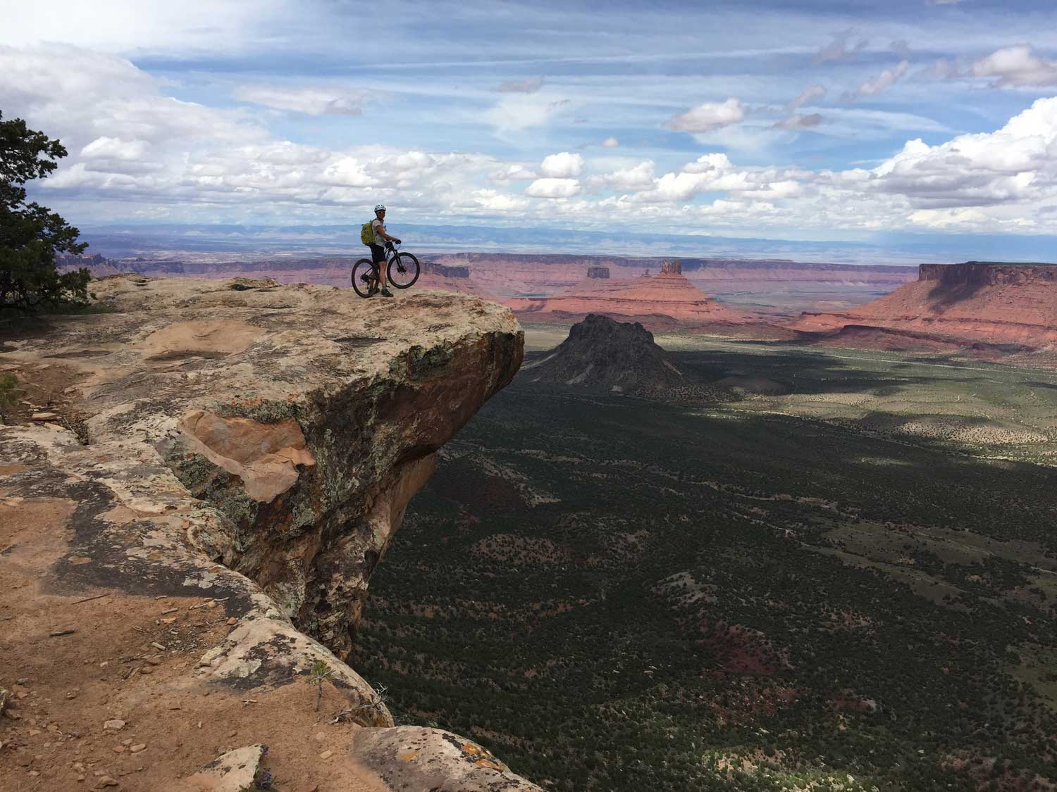 (C) 2015 Live Small Ride Free