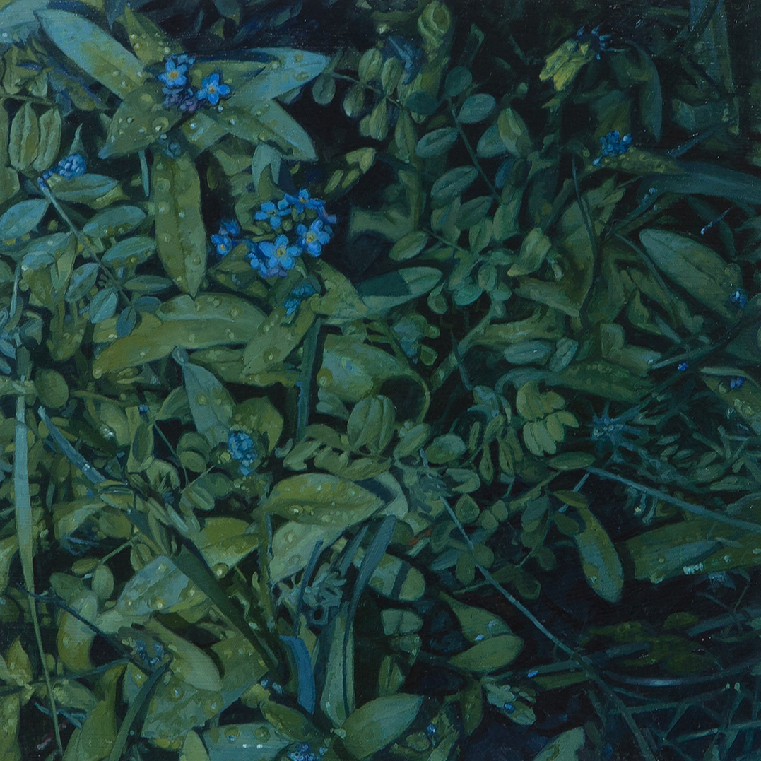 Aleah Chapin — She Explores Women in the outdoors.