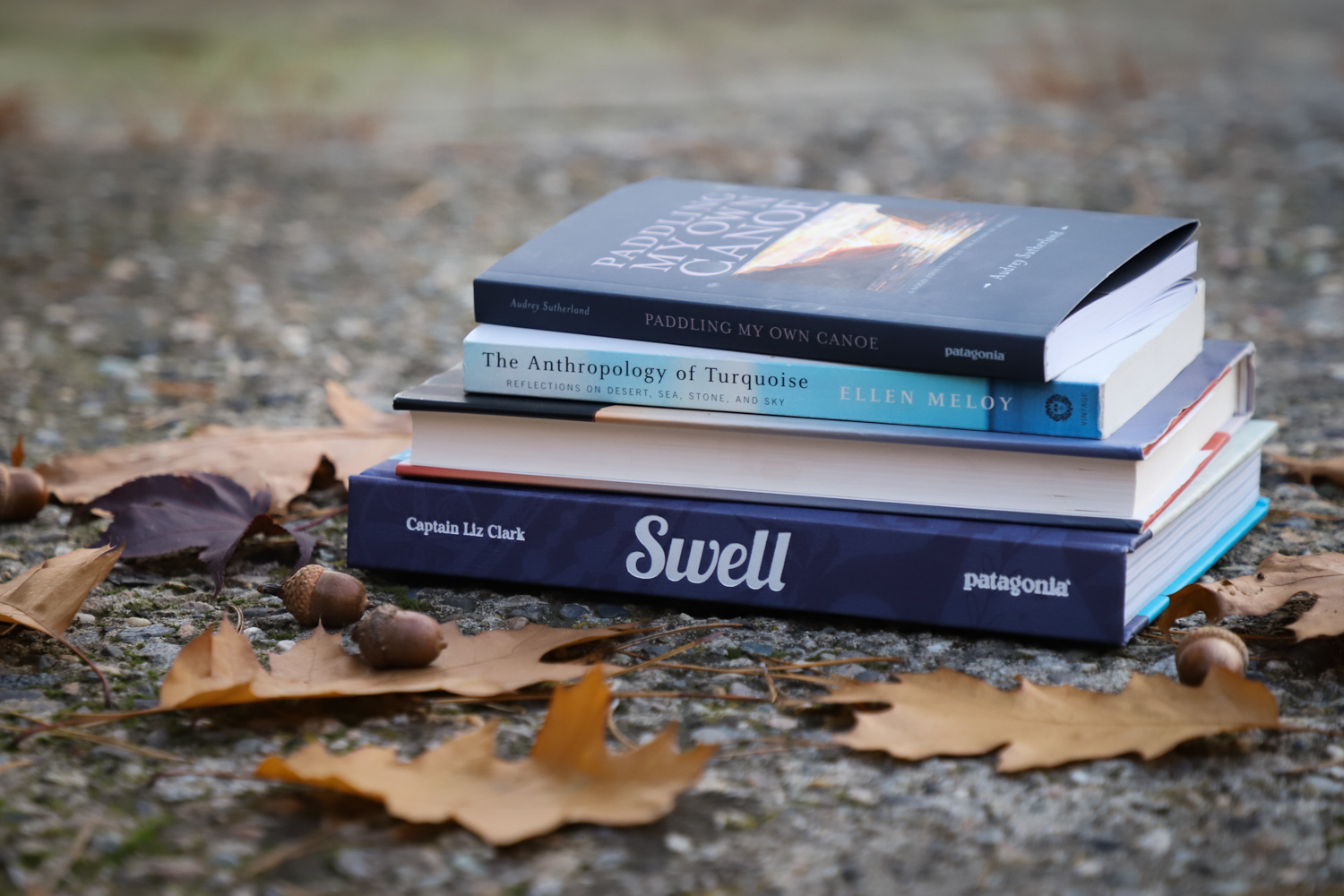 What We're Reading This Fall — She Explores: Women in the outdoors.
