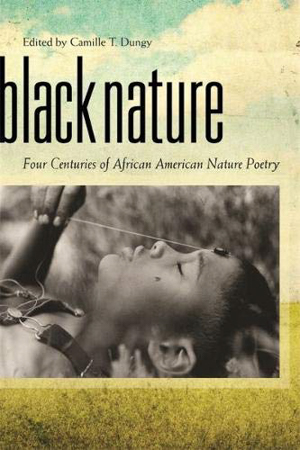 Black Nature book cover